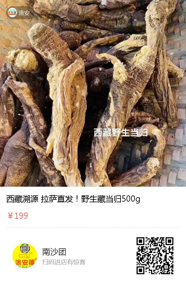 野生藏当归